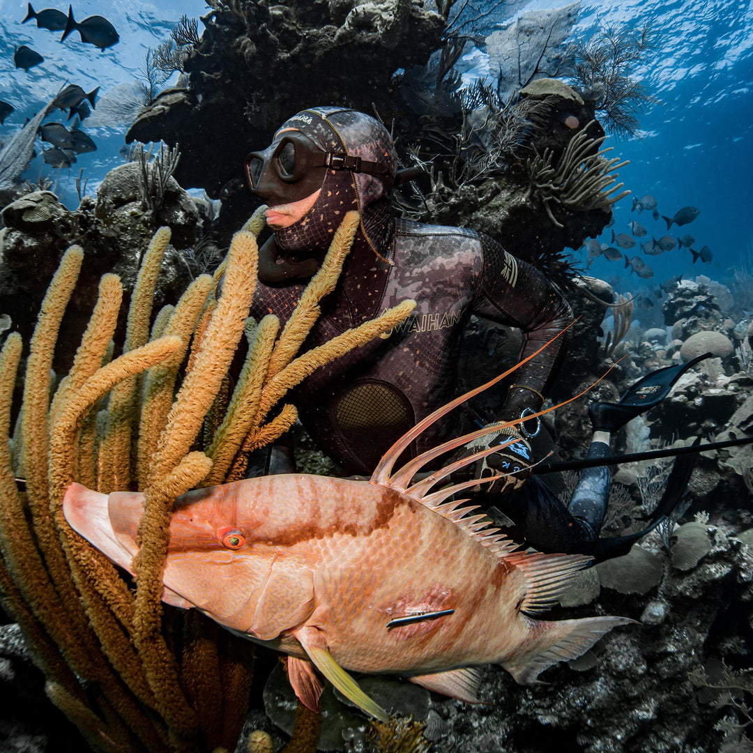 Reef Spearfishing Certification Course
