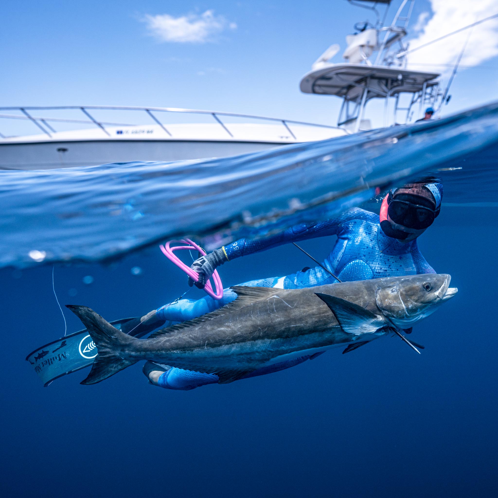 Freediving for Spearfishing - learn how to spearfish in a safe