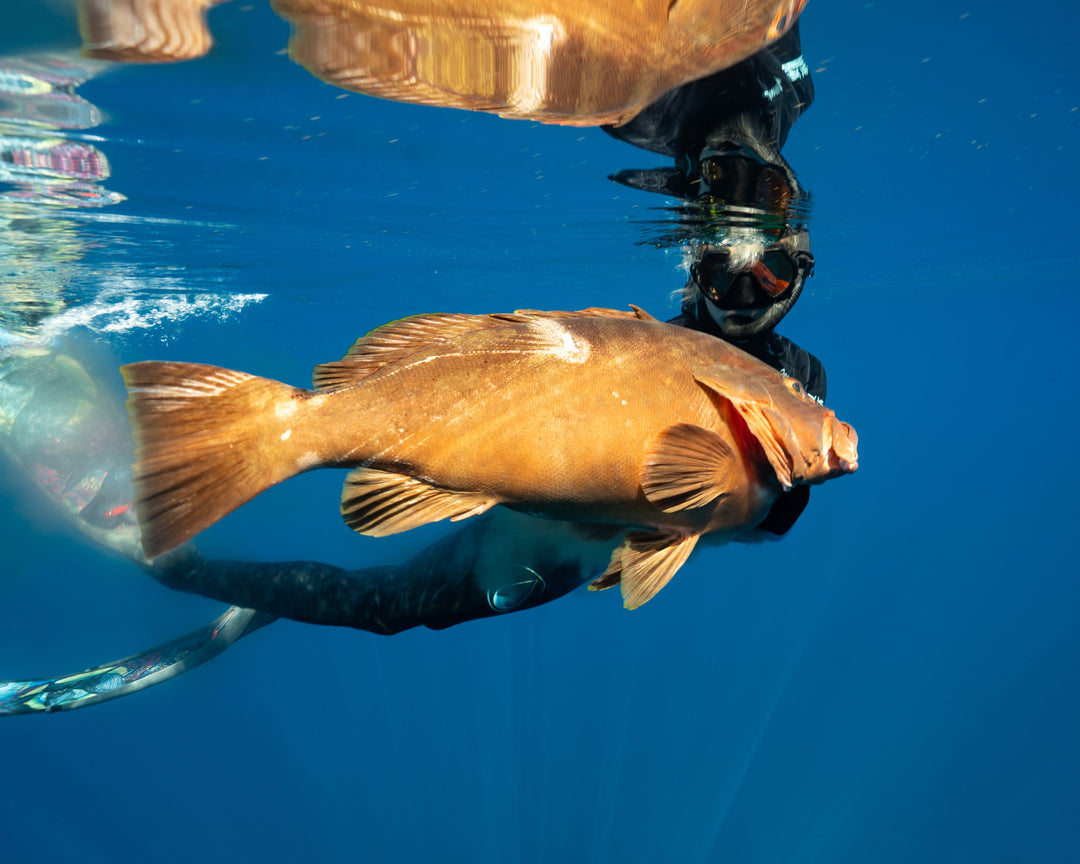 Meet Team Diver Halle Piacente