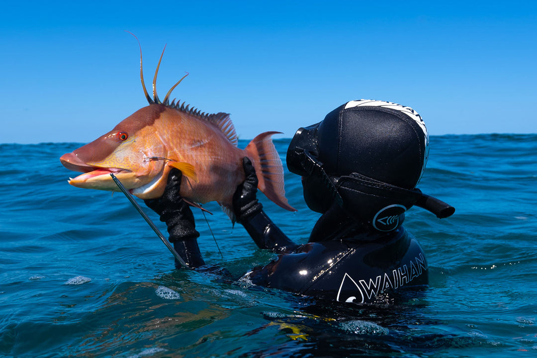 EPIC SPEARFISHING IN THE ABACOS