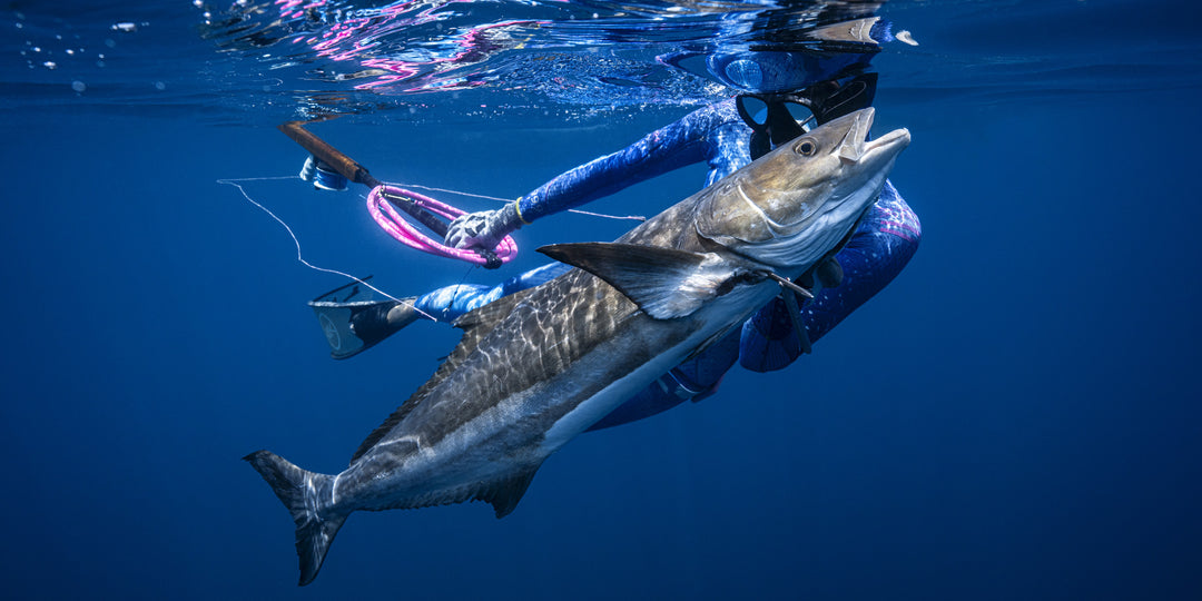 Spearfishing
