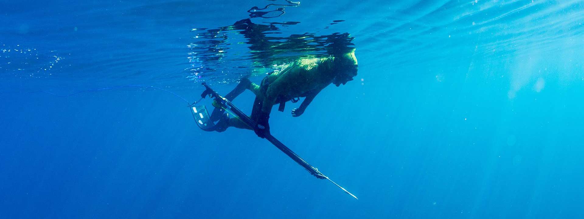 JBL Spearfishing