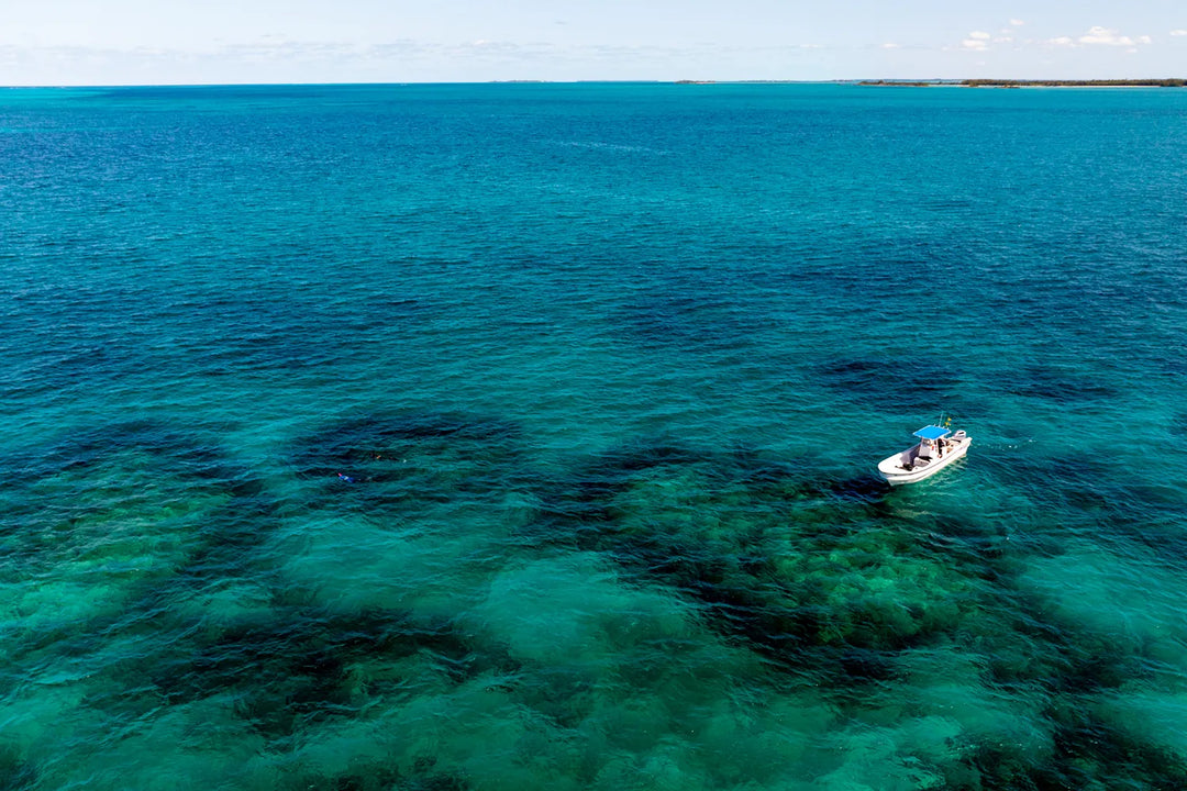 ABACOS GEAR GUIDE