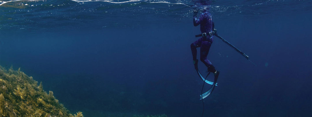 Ocean Guardian Shark Shield