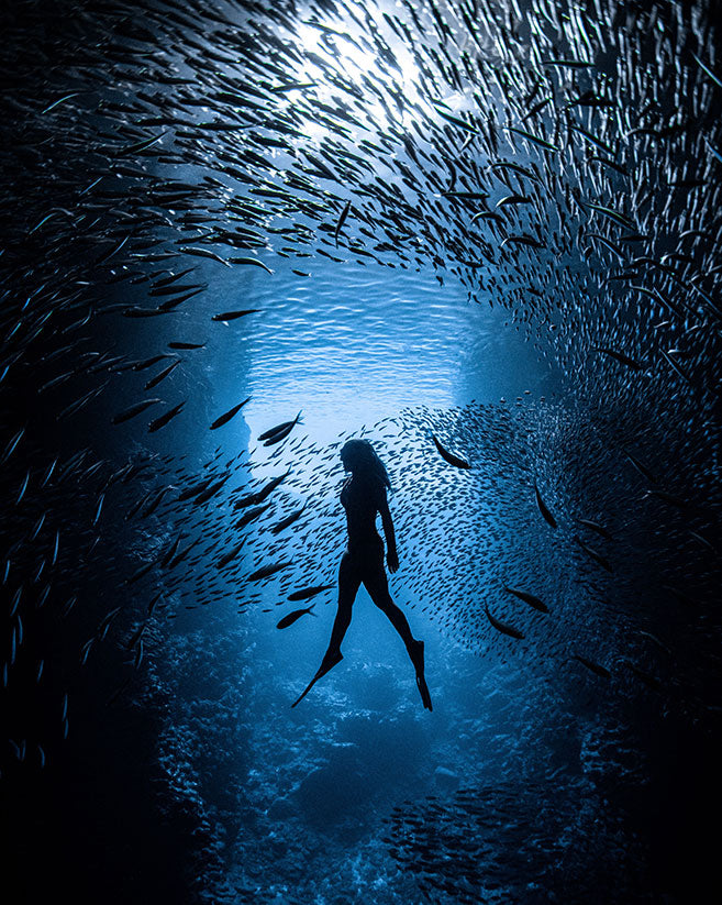 Florida Freedivers