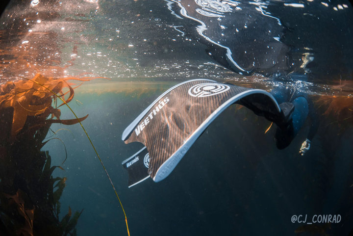 SpearPro Veeth&oacute;s Carbon Fiber Fin Blades