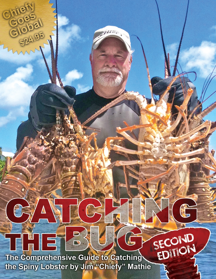 Catching The Bug - 2nd Edition